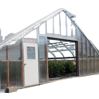 Equipo de cultivo de hongos de invernadero de sola envergadura cubierto con película de plástico transparente