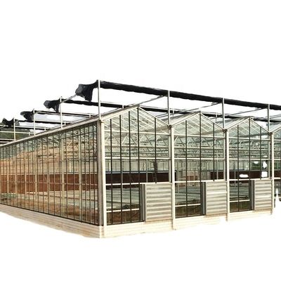 3.8m-9.8m Alturas de la cresta Invernadero solar de vidrio para los requisitos del cliente