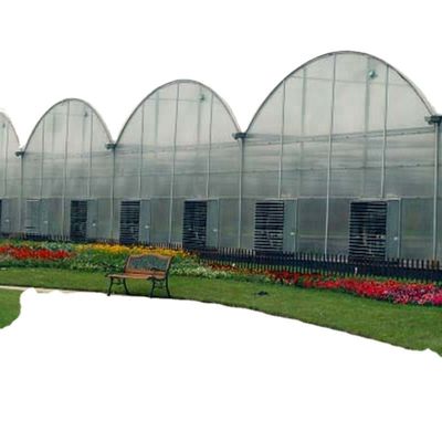 30 x 100 Invernadero de arco de múltiples tramos cubierto con película para el cultivo de vegetales con cubierta PO