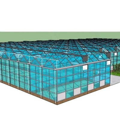 Hortalizas Frutas Flores Sistema acuapónico Invernaderos agrícolas de varias extensiones Rendimiento