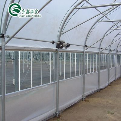 Temprano de película de plástico de tramo único agrícola de alto túnel de tamaño personalizable para Vrgetable