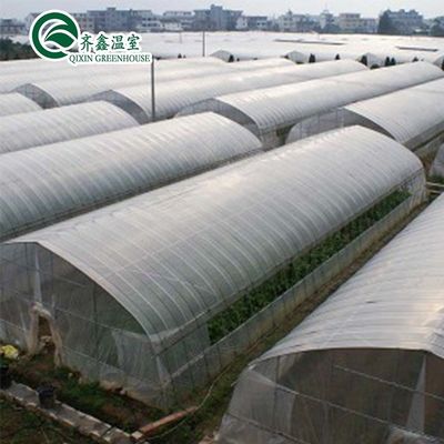 Temprano de película de plástico de tramo único agrícola de alto túnel de tamaño personalizable para Vrgetable