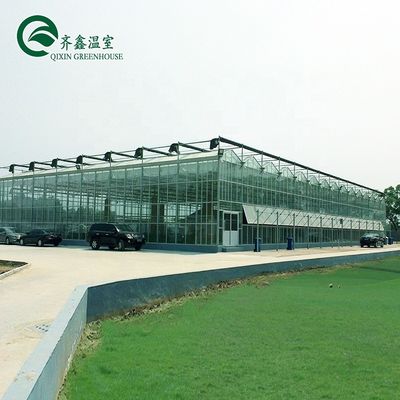 Gran invernadero de vidrio agrícola personalizado con sistema de canaletas hidropónicas de PVC