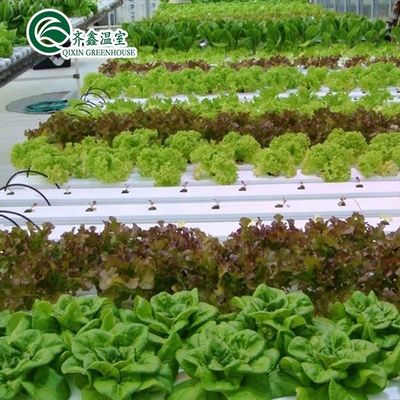 Invernadero de vegetales cubierto de vidrio personalizado para el crecimiento de restaurantes