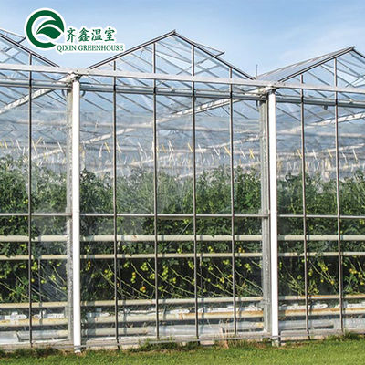 Polvo de acero galvanizado de tomate para invernadero prefabricado