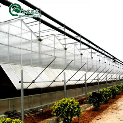 Polvo de acero galvanizado de tomate para invernadero prefabricado