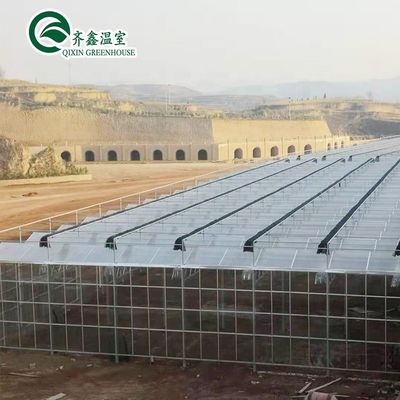Invernaderos agrícolas de varias extensiones Refugio prefabricado para la lluvia para el cultivo de tomate