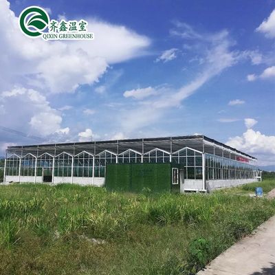 Invernaderos agrícolas de varias extensiones Refugio prefabricado para la lluvia para el cultivo de tomate
