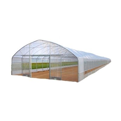 Suministros hidropónicos para invernaderos de una sola franja, refrigeración, riego, ventilación y más