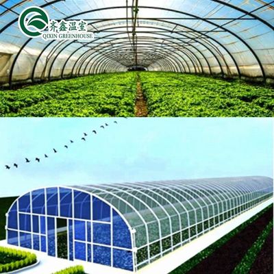 Suministros hidropónicos para invernaderos de una sola franja, refrigeración, riego, ventilación y más