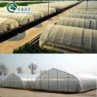 Suministros hidropónicos para invernaderos de una sola franja, refrigeración, riego, ventilación y más