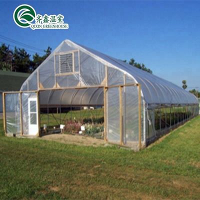 Suministros hidropónicos para invernaderos de una sola franja, refrigeración, riego, ventilación y más
