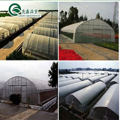 Suministros hidropónicos para invernaderos de una sola franja, refrigeración, riego, ventilación y más