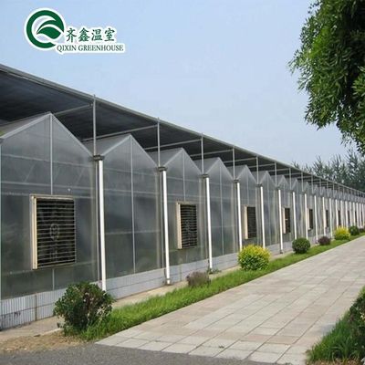 Estructura principal Galvanizado en caliente Aluminio acero Invernadero prefabricado para el cultivo de tomate