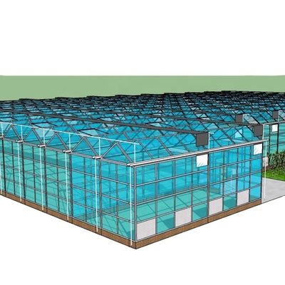 3.8m-9.8m Alturas de la cresta Invernadero solar de vidrio para los requisitos del cliente