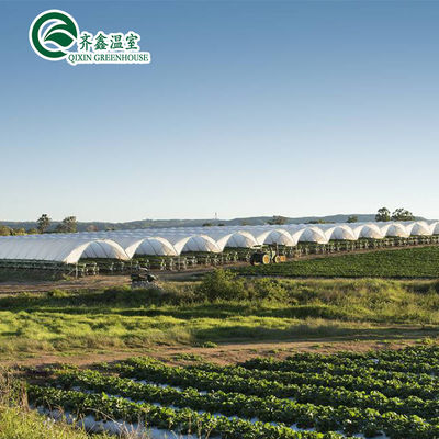 Sistemas de tuberías de NFT hidropónicos verticales para la distribución de agua en la agricultura en invernadero