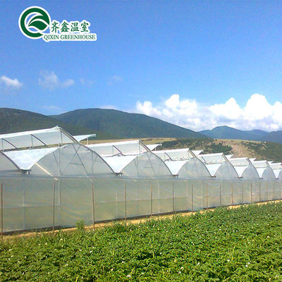 Sistemas de tuberías de NFT hidropónicos verticales para la distribución de agua en la agricultura en invernadero