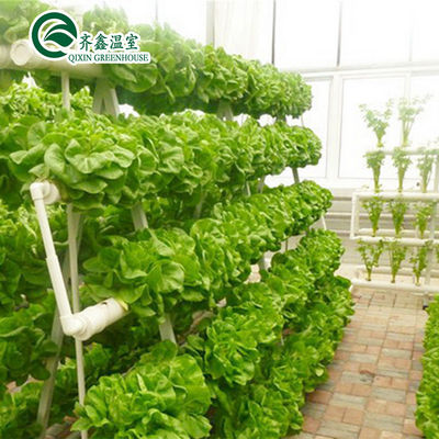 Sistema hidropónico vertical de tomates para ventas en invernaderos de múltiples espacios en los Países Bajos