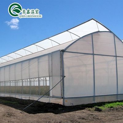Estructura de acero de aluminio galvanizado en caliente Túnel agrícola Invernadero para verduras