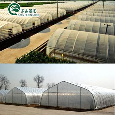 Estructura de acero de aluminio galvanizado en caliente Túnel agrícola Invernadero para verduras