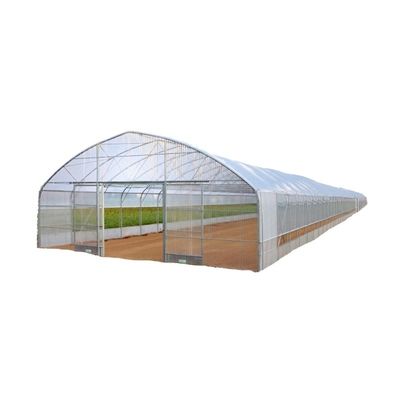 Invernaderos de cubierta de película para el cultivo de vegetales, frutas y flores en una sola capa