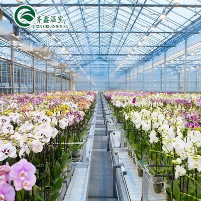 Invernaderos de cubierta de película para el cultivo de vegetales, frutas y flores en una sola capa