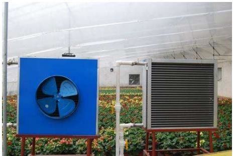 Invernaderos de cubierta de película para el cultivo de vegetales, frutas y flores en una sola capa
