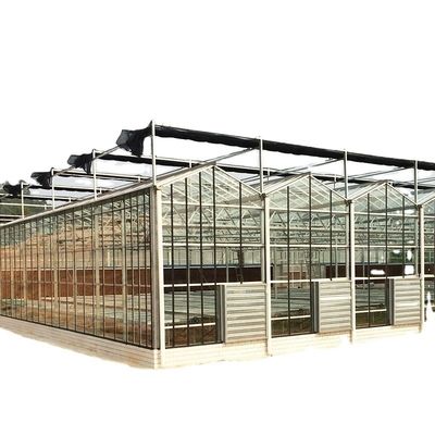 Gran invernadero de vidrio agrícola personalizado con sistema de canaletas hidropónicas de PVC