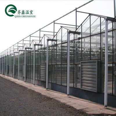 Gran invernadero de vidrio agrícola personalizado con sistema de canaletas hidropónicas de PVC
