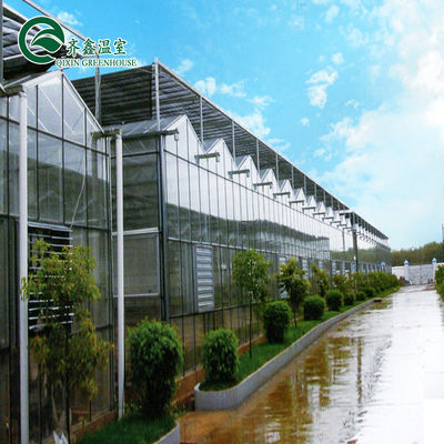 Gran invernadero de vidrio agrícola personalizado con sistema de canaletas hidropónicas de PVC