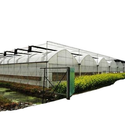 Sistema de sombreado interior Equipo de invernaderos de hongos para frutas y flores vegetales