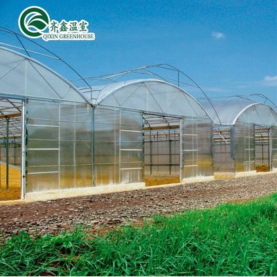 Invernaderos agrícolas de doble o de una sola capa con múltiples espacios para la agricultura personalizable