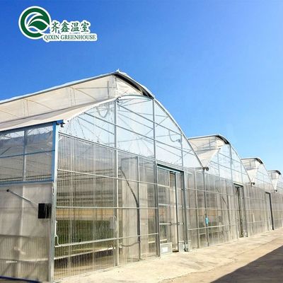 Contenedor usado de tomate material de invernadero PE Sistema de ventilación opcional