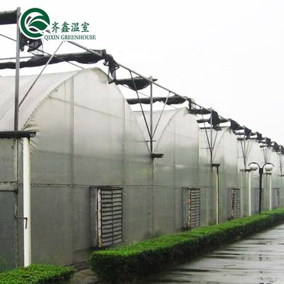 Sistema de sombreado interior Equipo de invernaderos de hongos para frutas y flores vegetales