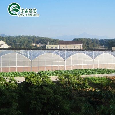 Invernaderos agrícolas de doble o de una sola capa con múltiples espacios para la agricultura personalizable