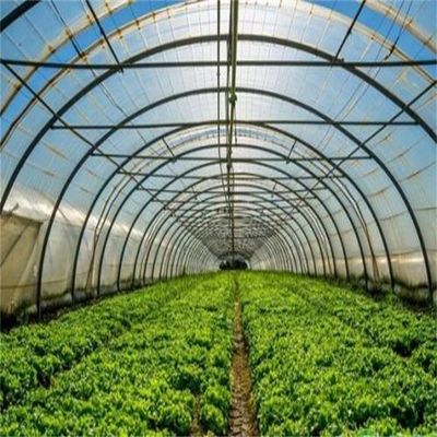Capa de película Invernadero agrícola de una sola capa para la agricultura sostenible