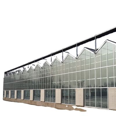 Gran invernadero de vidrio hongo jardín torre aeropónica para la instrucción de restaurante ecológico