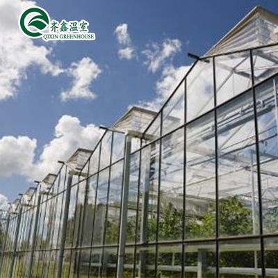 Gran invernadero de vidrio hongo jardín torre aeropónica para la instrucción de restaurante ecológico