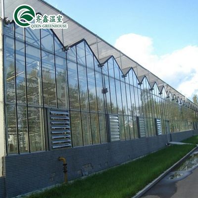 Gran invernadero de vidrio hongo jardín torre aeropónica para la instrucción de restaurante ecológico