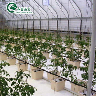 Invernaderos agrícolas de varias extensiones con sistemas de cultivo hidropónico en contenedores usados