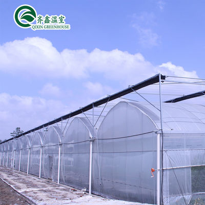 Invernaderos agrícolas de varias extensiones con sistemas de cultivo hidropónico en contenedores usados