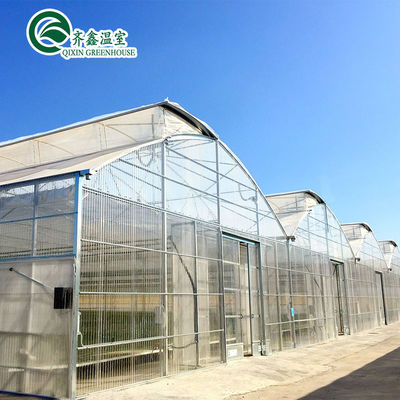 Invernaderos agrícolas de varias extensiones con sistemas de cultivo hidropónico en contenedores usados