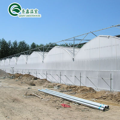 Invernaderos agrícolas de varias extensiones con sistemas de cultivo hidropónico en contenedores usados