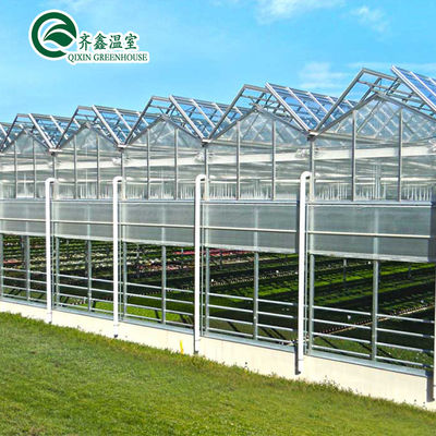 Sistema hidropónico vertical cubierto de vidrio para el cultivo de verduras, frutas y flores