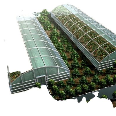 Cultiva tus propias verduras frutas y flores con nuestro invernadero comercial Filipinas