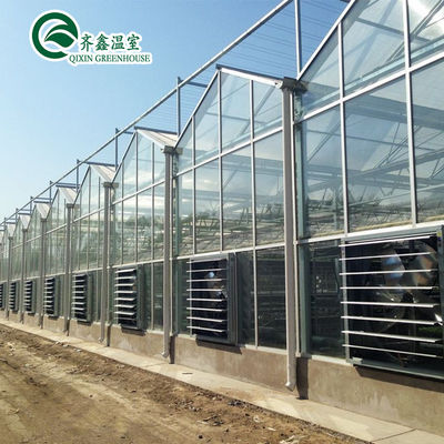 Sistema hidropónico vertical cubierto de vidrio para el cultivo de verduras, frutas y flores