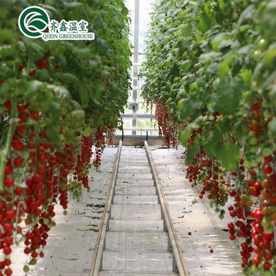 PO Torre Jardín para hortalizas Frutas Flores Invernadero agrícola económico