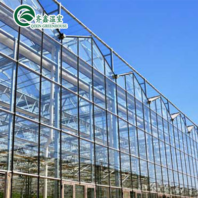 Sistema hidropónico vertical cubierto de vidrio para el cultivo de verduras, frutas y flores