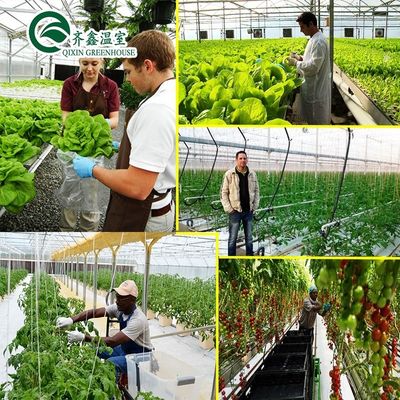 PO Torre Jardín para hortalizas Frutas Flores Invernadero agrícola económico