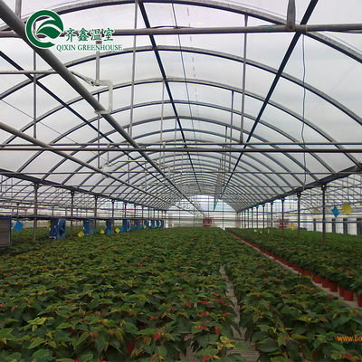 Hortalizas Frutas Flores Tomates Hojas de PC Invernaderos para restaurantes ecológicos